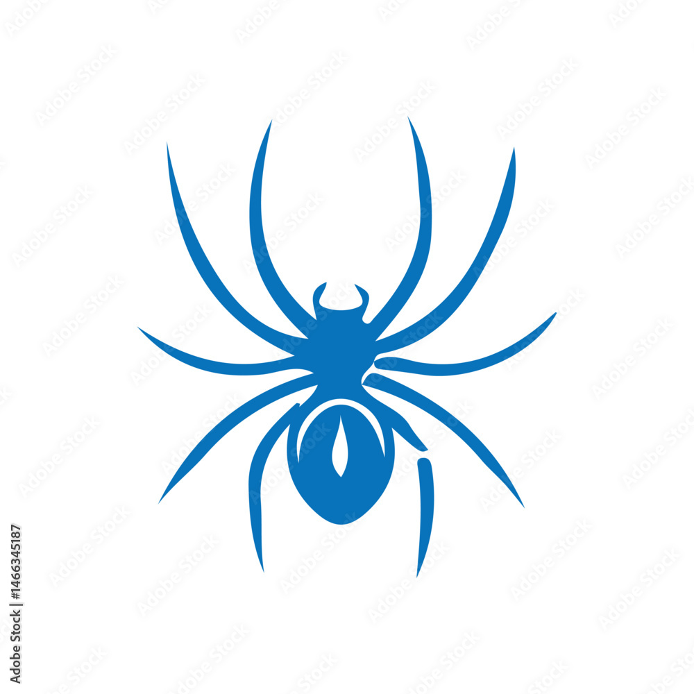 spider web design spider web design