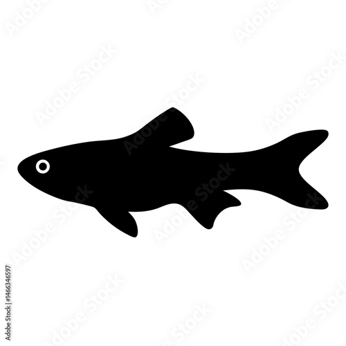 zebra danio fish vector silhouette icon, black and white illustration of fish.