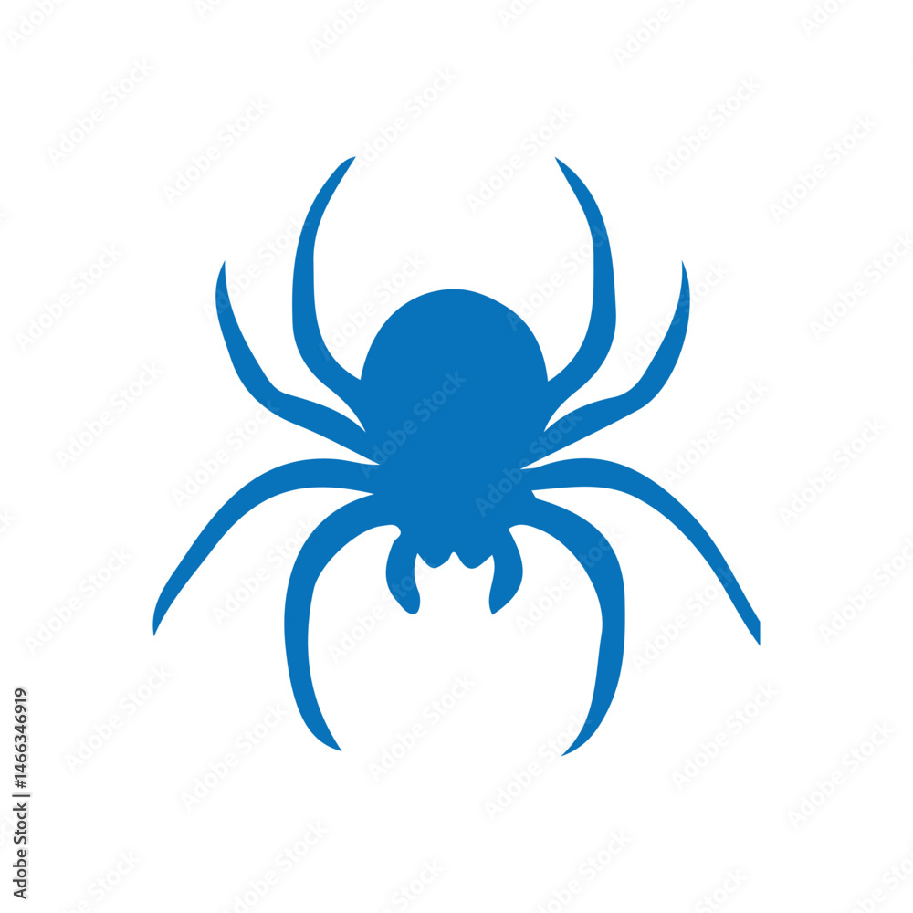 spider on a white spider on a white