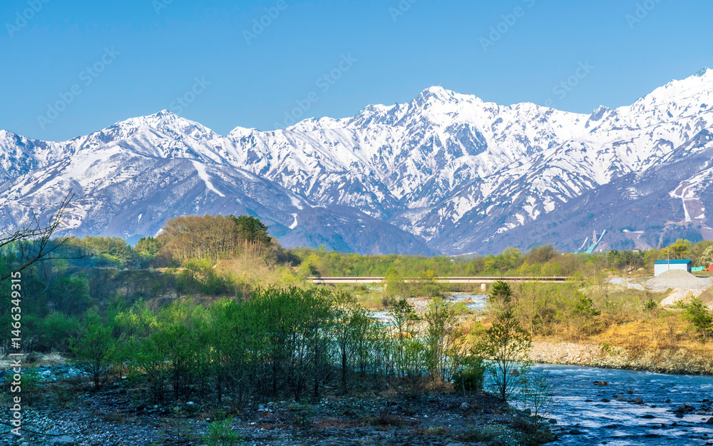 Fototapeta premium 新緑の白馬水神宮橋から北アルプス