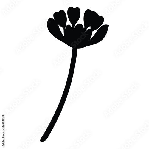 Black and white illustration of allium , flower silhouette vector designs.