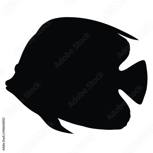 angelfish vector silhouette icon, black and white illustration of fish.