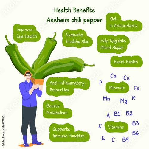 Health benefits and nutrients of Anaheim peppers or California peppers. Farmer holding crate of peppers. Isolated vector illustration.