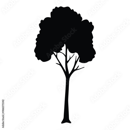 birch tree vector silhouette icon, black and white illustration of trees.
