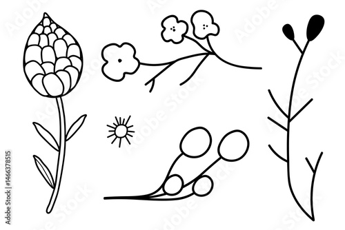 Set of five natural icons isolated on  white background. In  black and white version of  plant. Environment, nature, flora. Decoration for postcards, posters, business cards, invitations.