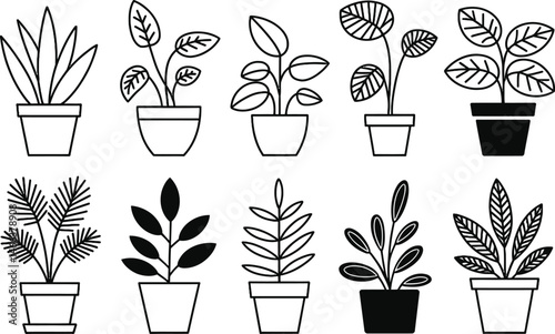 Collection of simple and stylish line art illustrations depicting houseplants in various pots
