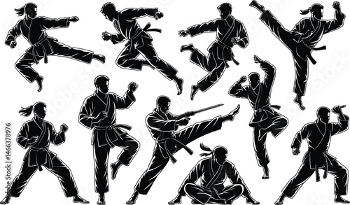 Dynamic silhouettes of martial artists demonstrating karate and aikido movements on white background