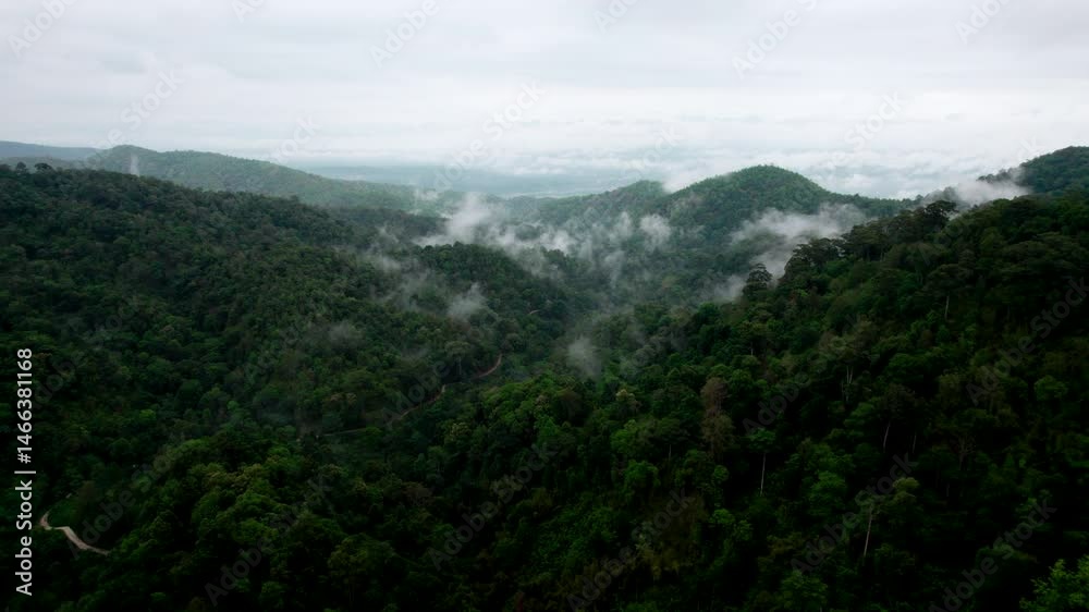 green forrest and mountain .Top view of countryside road passing through the green forrest and mountain .Top view of countryside road passing through the