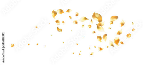 Golden rose petals falling motion , beautiful rose petal greeting card design, Love, romance, floral spring season
