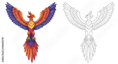 Phoenix in Flight: A vibrant artistic depiction of a phoenix in mid-flight, its fiery feathers ablaze. Also a outline phoenix showing the detail line and drawing.