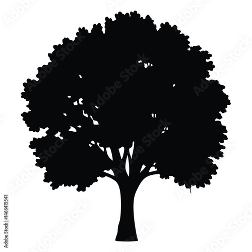 cottonwood tree vector silhouette icon, black and white illustration of trees.