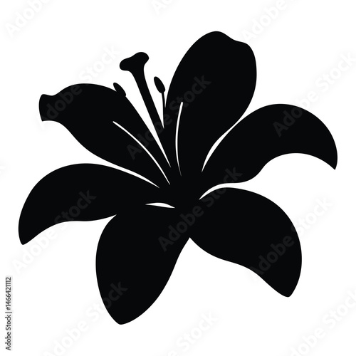 Bild auf Leinwand Black and white illustration of daylily , flower silhouette vector designs