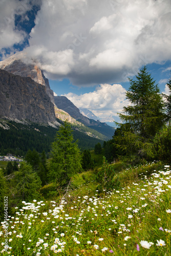 Obraz na płótnie Alpine meadow in the mountains, The Dolomites, Italy w salonie