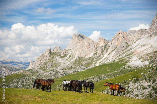 Horses in the beautiful Dolomites