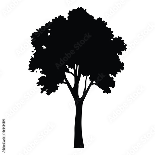 elm tree vector silhouette icon, black and white illustration of trees.