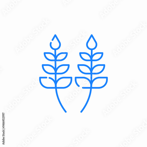 two ears of wheat or barley icon sign vector