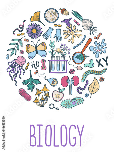 Hand drawn laboratory tools elements set. Biology sciense concept. Circle composition. Simple school vector illustration