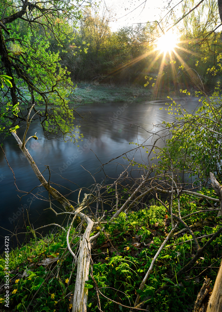 Sunrise over a misty river surrounded by lush green trees in spring. Tranquil nature landscape with calm water, fog, and golden sunlight reflecting on the surface. Ideal for eco, travel, wellness.