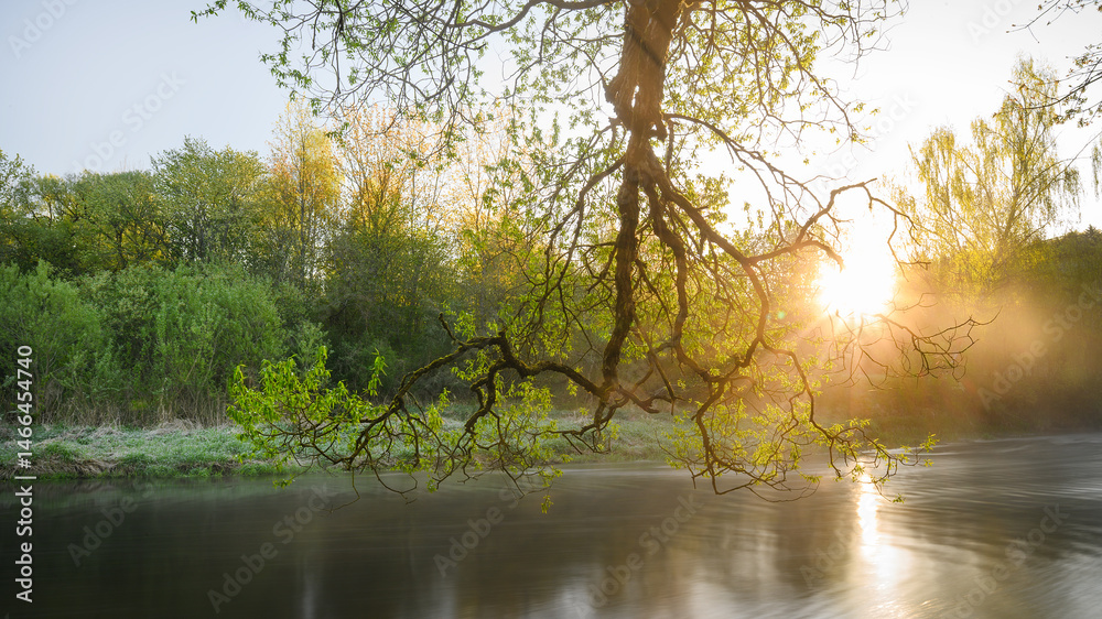 Sunrise over a misty river surrounded by lush green trees in spring. Tranquil nature landscape with calm water, fog, and golden sunlight reflecting on the surface. Ideal for eco, travel, wellness.
