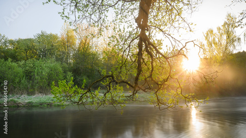Obraz na płótnie Sunrise over a misty river surrounded by lush green trees in spring. Tranquil nature landscape with calm water, fog, and golden sunlight reflecting on the surface. Ideal for eco, travel, wellness. w salonie