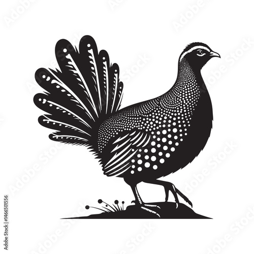 Bold Francolin Bird Vector Silhouette – Striking Ground-Dweller, Sharp Call, and Agile Forager Captured in Elegant Minimalist Wildlife Art.