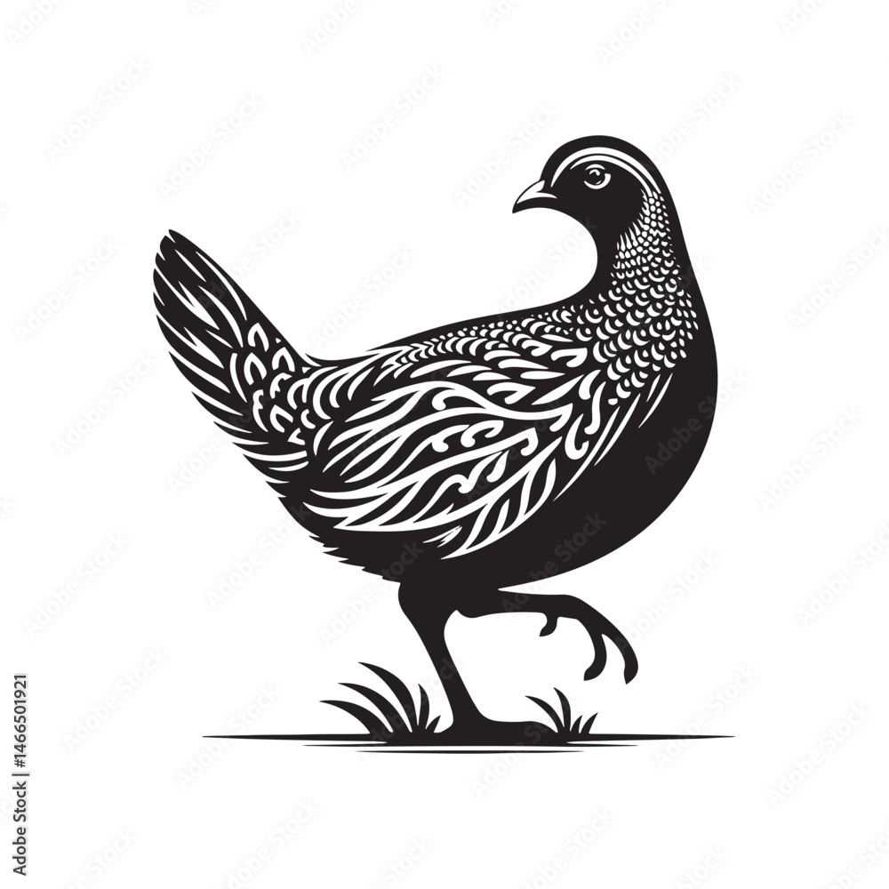 Fototapeta premium Bold Francolin Bird Vector Silhouette – Striking Ground-Dweller, Sharp Call, and Agile Forager Captured in Elegant Minimalist Wildlife Art.