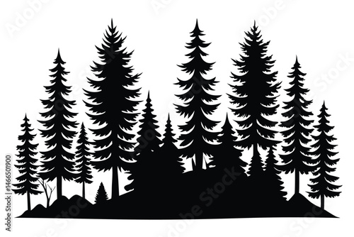 Dense coniferous forest silhouette shows tall pines along a horizon line creating a natural scene