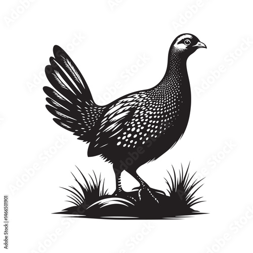 Bold Francolin Bird Vector Silhouette – Striking Ground-Dweller, Sharp Call, and Agile Forager Captured in Elegant Minimalist Wildlife Art.