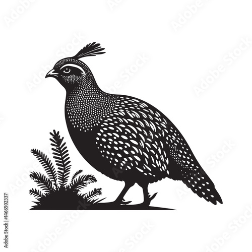 Bold Francolin Bird Vector Silhouette – Striking Ground-Dweller, Sharp Call, and Agile Forager Captured in Elegant Minimalist Wildlife Art.