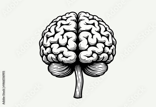 Elegant Brain Line Art: Minimalist Monochrome Design for Cognitive Science and Creative Projects - High-Resolution 2D Illustration
