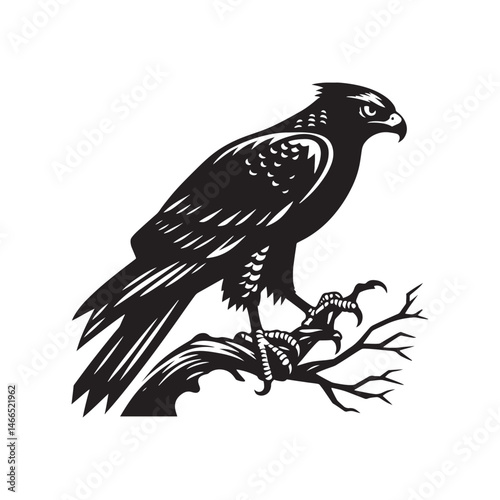 Goshawk Bird Vector Silhouette, Powerful Raptor Design, Predatory Bird Outline, Elegant Hunting Hawk Illustration, Nature-Inspired Avian Art.