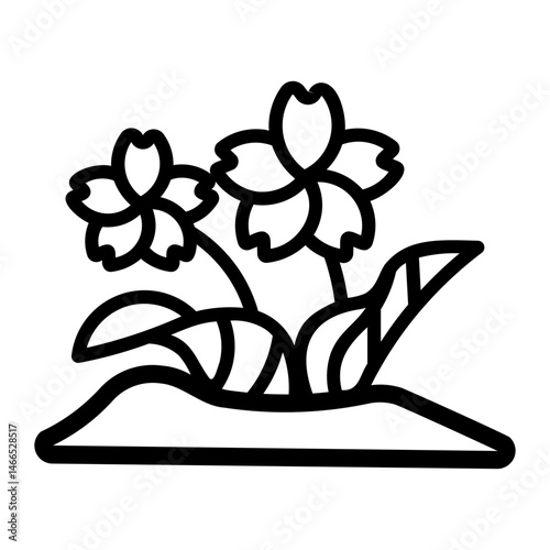 hydnora africana Line Icon