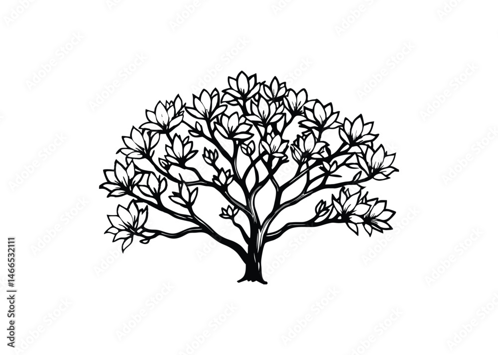 Obraz premium Silhouette of magnolia isolated on a white background