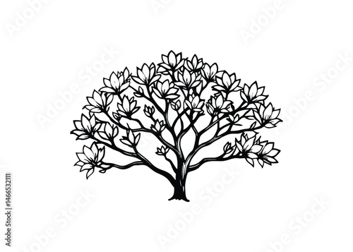 Silhouette of magnolia isolated on a white background