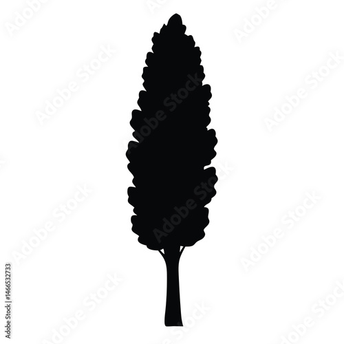 poplar tree vector silhouette icon, black and white illustration of trees.