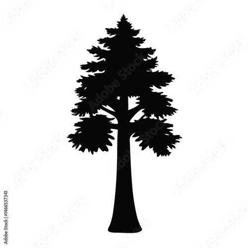 redwood tree vector silhouette icon, black and white illustration of trees.