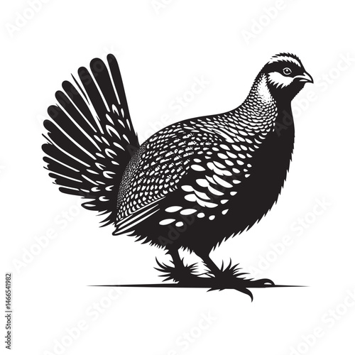 Greater Prairie Chicken Vector Silhouette, Vibrant Grassland Bird Design, Detailed Avian Outline, Nature-Inspired Prairie Fowl Art Illustration.