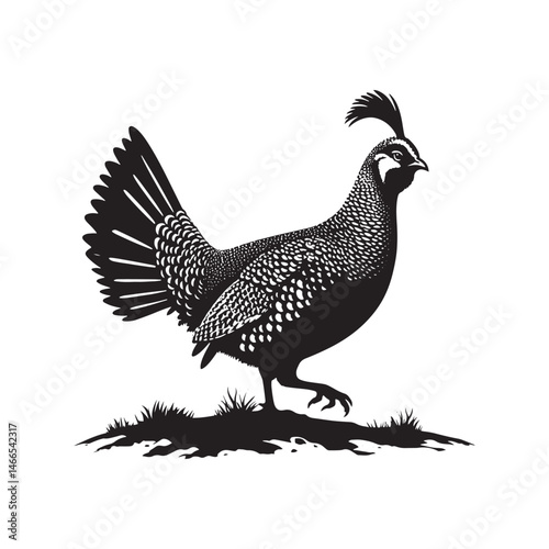 Greater Prairie Chicken Vector Silhouette, Vibrant Grassland Bird Design, Detailed Avian Outline, Nature-Inspired Prairie Fowl Art Illustration.
