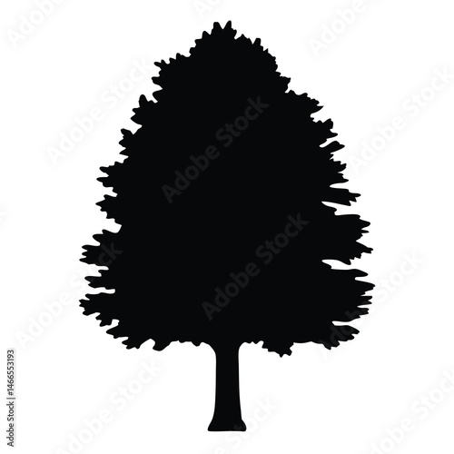 sequoia tree vector silhouette icon, black and white illustration of trees.