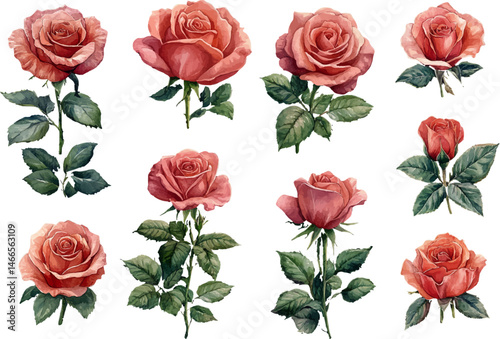 seamless pattern with red roses