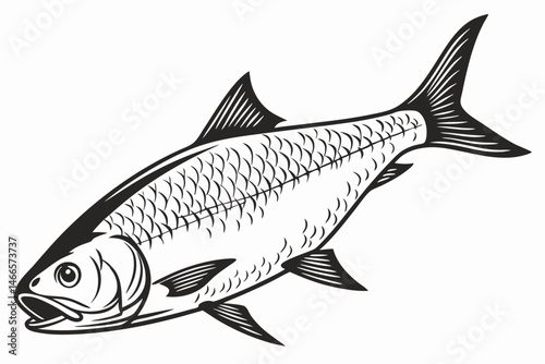 milkfish sihouette black vector