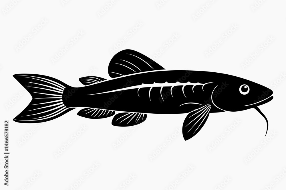 killifish sihouette black vector killifish sihouette black vector