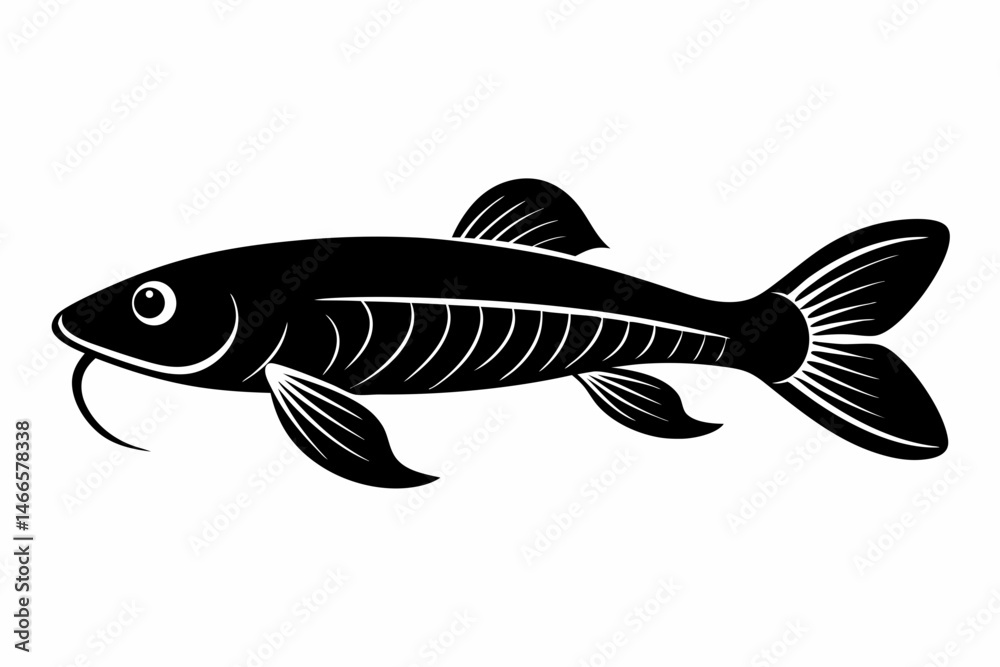 killifish sihouette black vector
