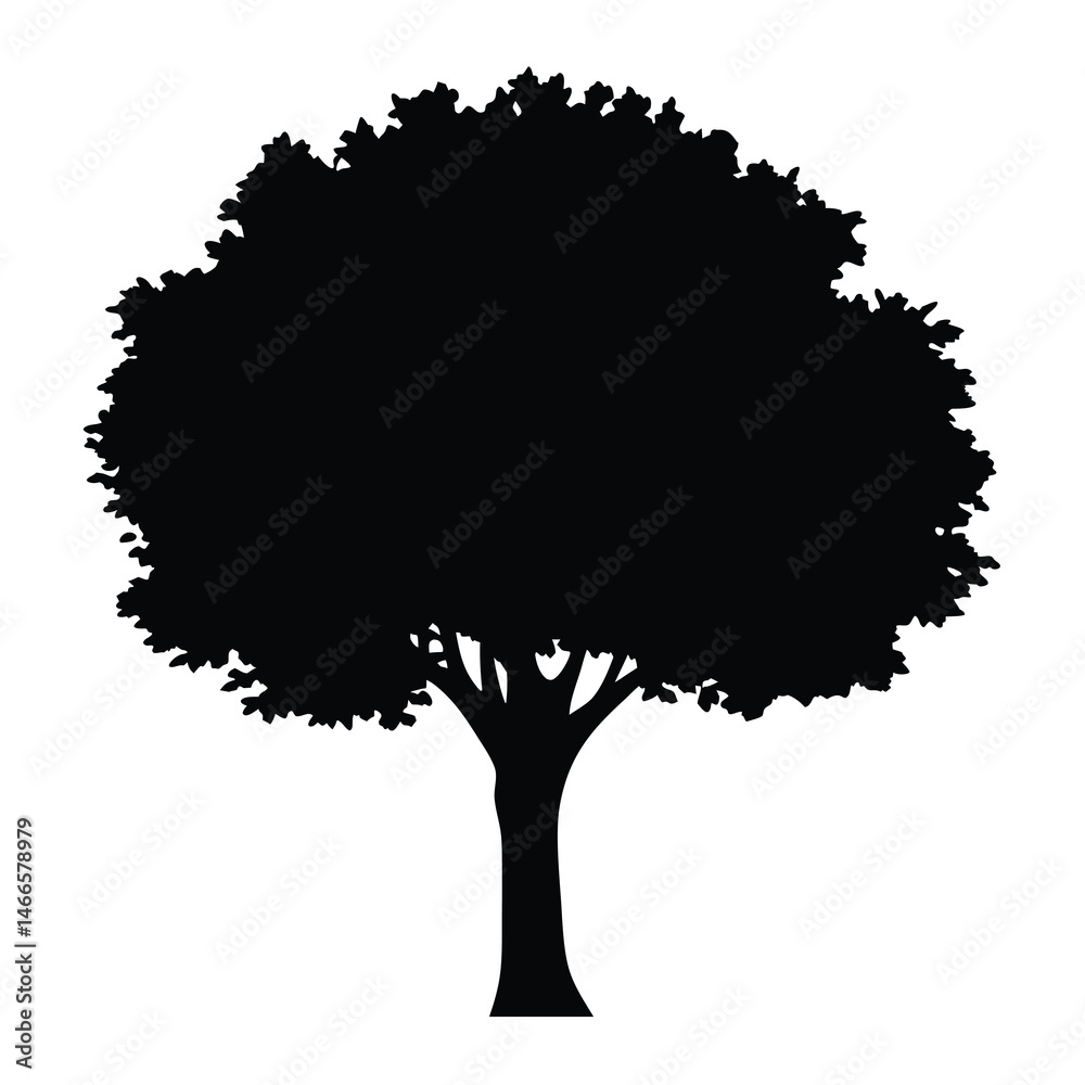 Fototapeta premium sycamore tree vector silhouette icon, black and white illustration of trees.