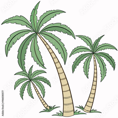 palm trees illustration design