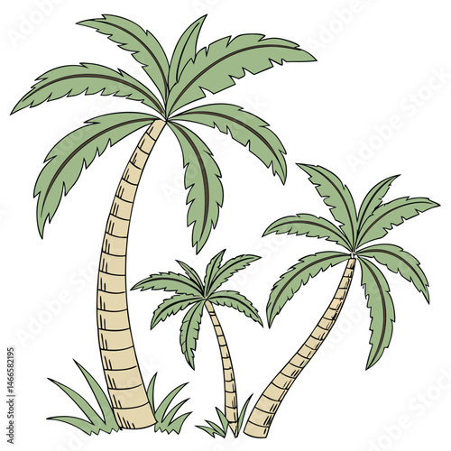 palm trees illustration design