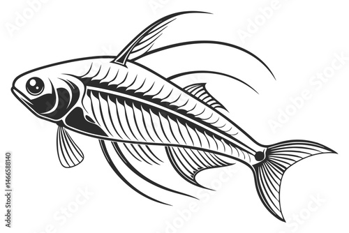 glass catfish sihouette black vector