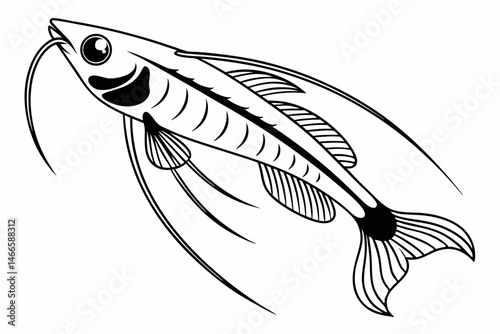 glass catfish sihouette black vector