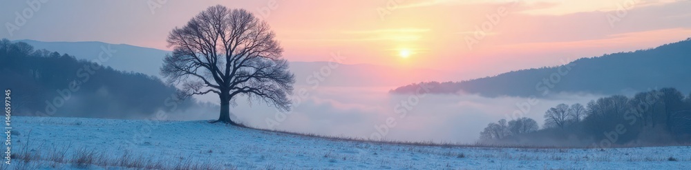 Fototapeta premium Stark winter tree silhouetted against valley mist , viewpoint, valley, overlooking
