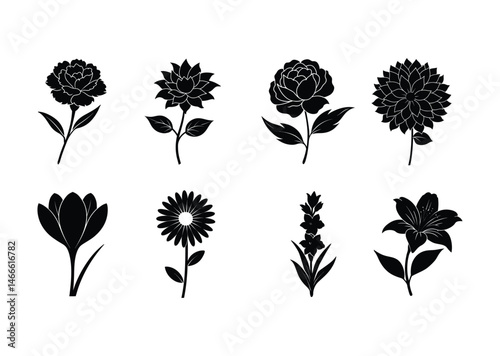 set of silhouettes of  flower,Carnation flower,Peony flower,Alstroemeria flower,Stock flower,Daisy flower,Gladiolus flower ,Crocus flower, vector set..
